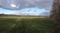 4k Marshland sunny meadow panning with tree shadows 4k or 4k+ Resolution