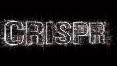 4k Matrix style binary computer code shape crispr,changing from zero to one dig 库存影片 90887149