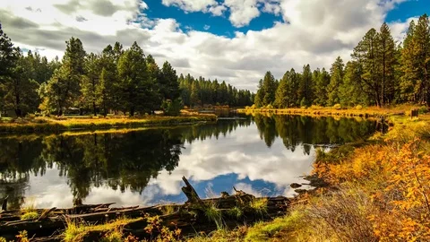 4K Meadow Day Use Area Bend OR Vídeos de archivo 70842855