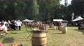 4k Medieval pageant event in wonderful forest park area 4k or 4k+ Resolution