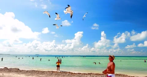 4K Mediterranean Seagulls hover over blue water and sky on paradise beach Stock Footage 46839896