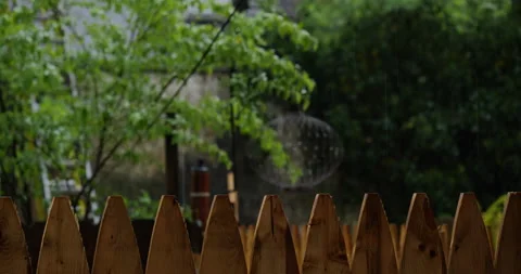 4K MEDIUM SHOT OF BACKYARD WITH WOODEN FENCE IN THE RAIN Stock Footage 131127707