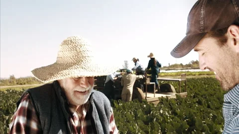 4k medium shot of father and son farmer's hands touching and inspecting there so Stock Footage 201096099