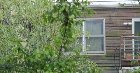 4K MEDIUM SHOT OF HOUSE WINDOW WITH TREES IN FOREGROUND Stock Footage 131128132