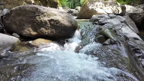 4K Medium Static Shot Of Water Flowing Over Small Waterfall In Rainforest River Stock Footage 285872330