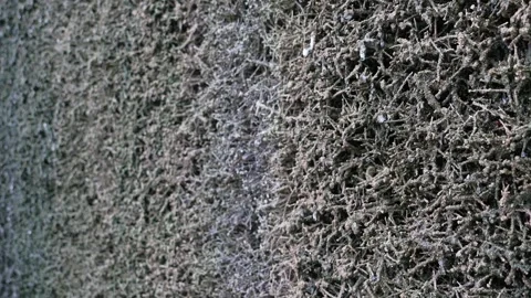 4K Metal Shavings Pile Processing Industrial Scrap Recycling Movement Dynam.. Stock Footage 332636459