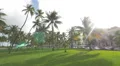 4K Miami Beach palm trees in the park, Florida 4k or 4k+ Resolution