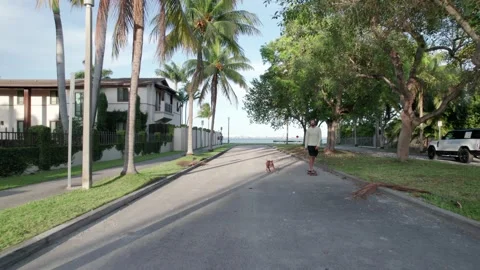 4K Miami Morningside Stock Footage 234984252
