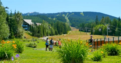 4K Mini Golf Couse, Summer, Whistler Mountain BC Stock Footage 52144964