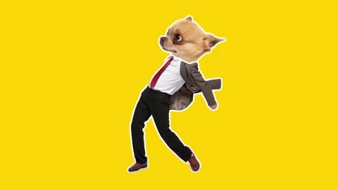 4K Minimal animation motion design. Funny dog face on dancing man. Pop and dance Stock Footage 158235522