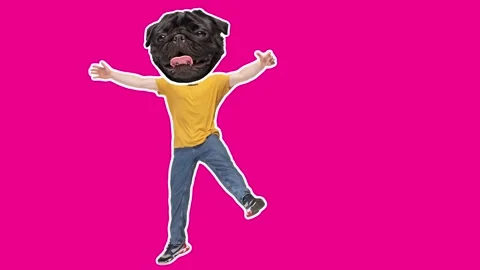 4K Minimal animation motion design. Funny dog face on dancing hip-hop man. Video stock 158561745