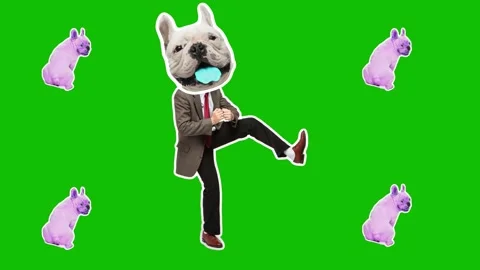 4K Minimal animation motion design. Funny dog face on dancing man. Pop and dance Video stock 158611516
