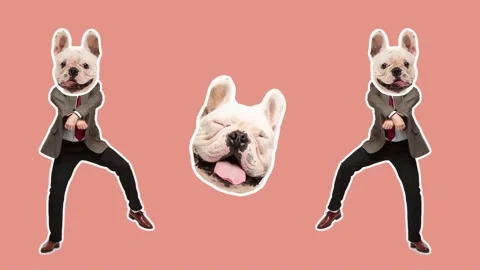 4K Minimal animation motion design. dog  on dancing man in stop motion Stock Footage 158924831