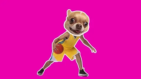 4K Minimal animation motion design. Funny dog on basketball player Video stock 158994248