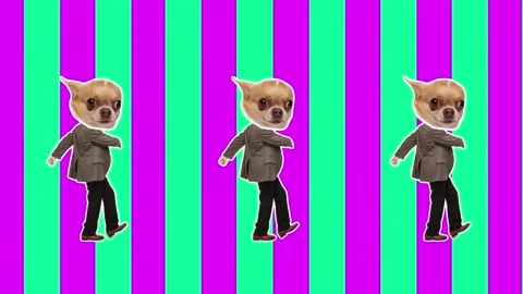 4K Minimal animation motion design. Funny dog face on dancing man Video stock 159808990