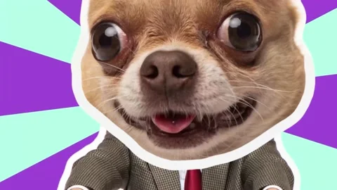 4K Minimal animation motion design. Funny dog face on dancing man Stock Footage 159808991