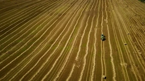 4K. Modern tractor makes haystacks on the field after harvesting. Aerial view Stock Footage 79603378