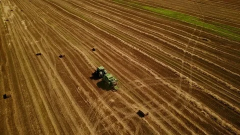 4K. Modern tractor makes haystacks on the field after harvesting. Aerial view Stock Footage 79604706