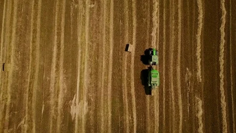 4K. Modern tractor makes haystacks on the field after harvesting. Aerial view. Stock Footage 79605186