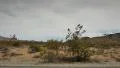 4K Mojave Desert Driving Plate 02 Left View in Joshua Tree 4k or 4k+ Resolution