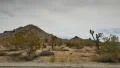 4K Mojave Desert Driving Plate 03 Left View in Joshua Tree 4k or 4k+ Resolution