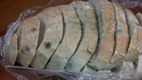 4K Moldy bread drying on the table Stock Footage 131999307