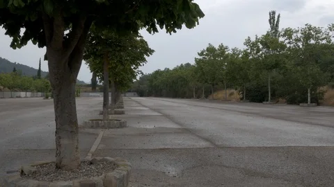 4K Monasterio Poblet parking trees perspective cloudy wet Stock Footage 116541998