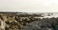 4K Monteray 17 Miles Drive 02 Rocky shore in Sunset California 4k or 4k+ Resolution