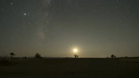 4K Moonset Timelapse With Milky Way Setting With Sparse Trees In The Foreground Stock Footage