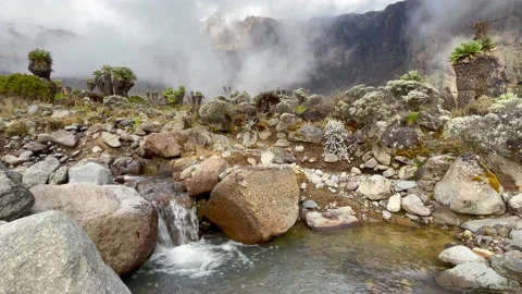 4K Moorland zone stream waterfall with Kilimanjaro covered with clouds Stockbeeldmateriaal 154256205