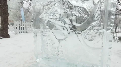 4k moose ice scuplture Stock Footage 61201575