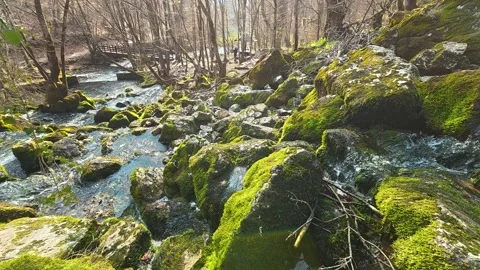 4K Mossy Rocks &amp; Stream - POV Descent Through Pristine Forest Water Source Video stock 332374623