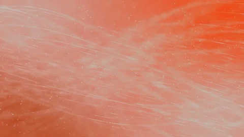 4K motion background loop - Grey lines dancing in the wind on orange backdrop Stock Footage 77602272