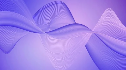 4k motion background loop - Purple wave lines. Wave shaped lines animation loop Stock Footage 77603063