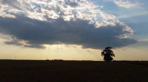 4K Motion Clouds over Field Stock Footage 51802901