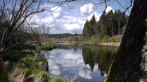 4k Motion Controlled Timelapse Tree River Clouds Stock Footage 49570804