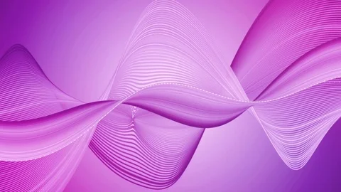 4k motion - Deep dark purple pink colored wave lines - High contrast motion loop Stock Footage 77602826