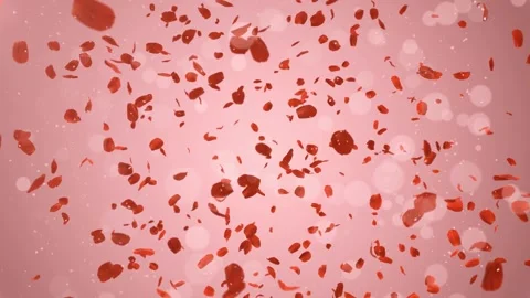 4K Motion Graphics Red Rose Petals Falling Pink Bokeh Background 스톡 동영상 332156799