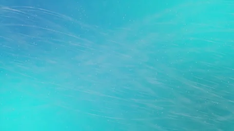 4K motion loop - Light blue background with thin lines floating in the wind Stock Footage 77602104