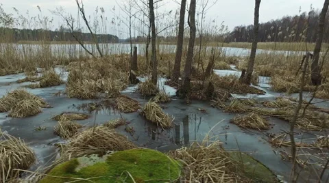 4K. Motion panoramic view of wild frozen lake in early spring, landscape. Video stock 61750848