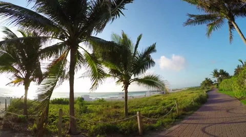 4K motion video of Dune and Beach at South Beach, Florida Stock Footage 61899556