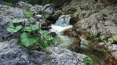 4K. Motion view of Wild river in Alps Mountains, clean blue water. Stock-Footage 65210379