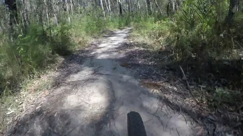 4K Mountain Biking, Blue Mountains Stockbeeldmateriaal 80180148