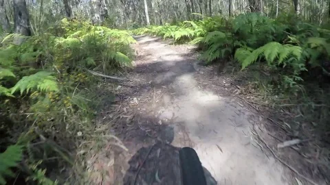 4K Mountain Biking Stock-Footage 80847168