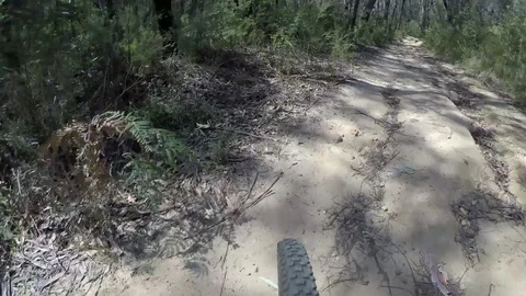 4K Mountain Biking Video stock 80853881