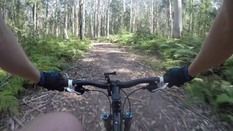 4K Mountain Biking Stockbeeldmateriaal 80853884