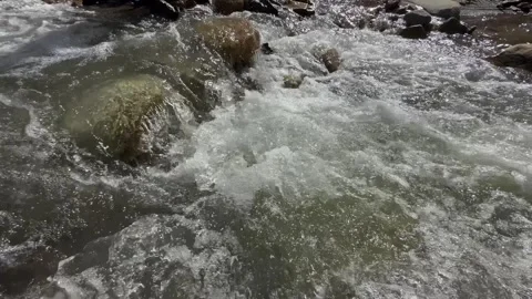 4K Mountain Creek Flow Stock Footage 267439762