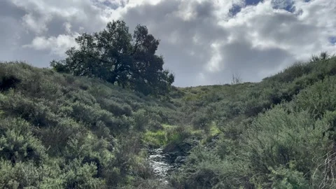 4K Mountain Creek Stock Footage 267443555