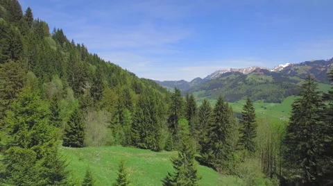 4K Mountain pine forest aerial shot Stock Footage 63757983