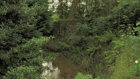 4k mountain river among the green leaves forest Stock Footage 93213448
